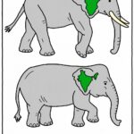 Two elephants, one with an ear shaped like Africa and one with an ear shaped like India